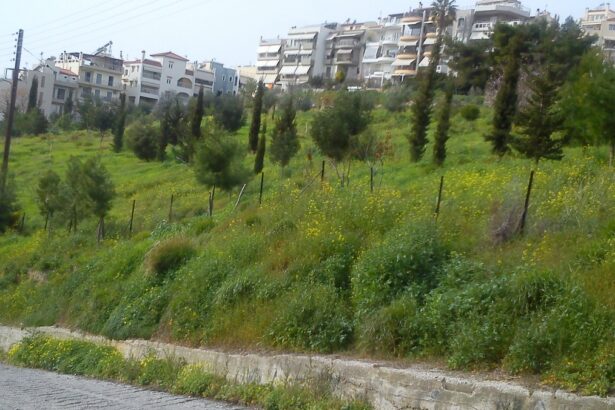 Το πάρκο που δεν έμεινε "μακέτο"! Νέος πνεύμονας πρασίνου στο Χαϊδάρι 11