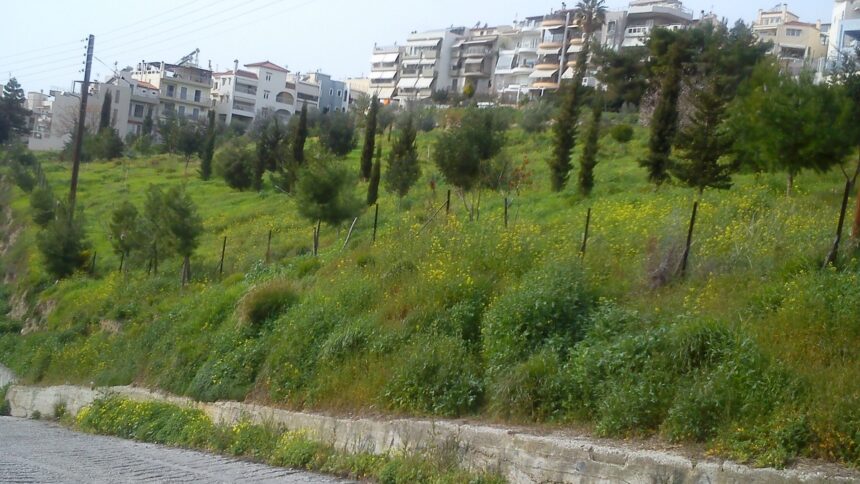 Το πάρκο που δεν έμεινε "μακέτο"! Νέος πνεύμονας πρασίνου στο Χαϊδάρι 1