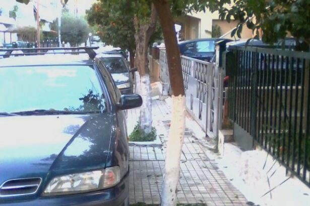 Στοργή για τον πεζό! 7