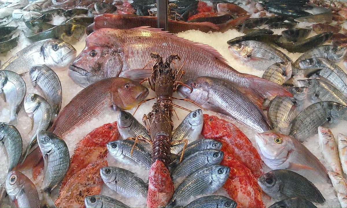 Τι θα γίνει στην "Αργυρόνησο" την Καθαρά Δευτέρα; - Video 3