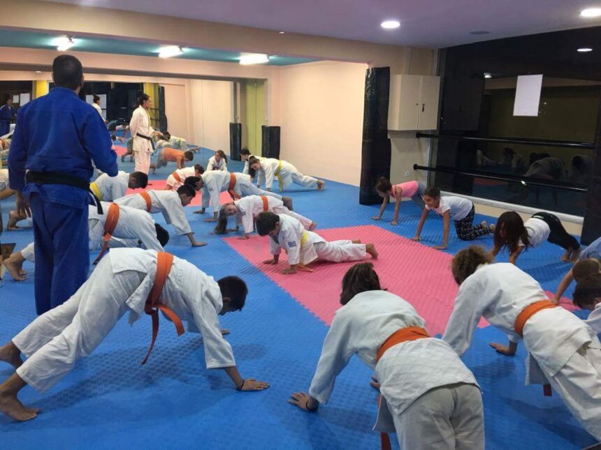 Haidari Judo Academy (video) 1 Haidari Judo Akademy