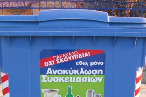 "Ντροπή να μην μπορούμε να συμμετέχουμε στην ανακύκλωση" 15