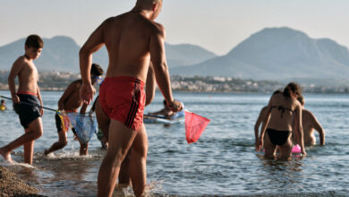 Κορινθιακός: Συναγερμός για τις τσούχτρες - Μόνη λύση (;) τα δίχτυα στις παραλίες 26