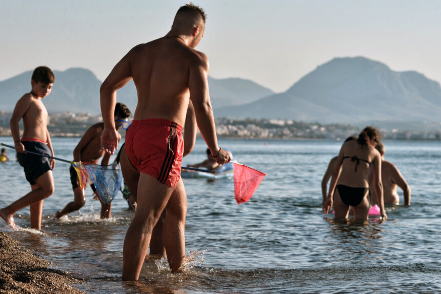 Κορινθιακός: Συναγερμός για τις τσούχτρες - Μόνη λύση (;) τα δίχτυα στις παραλίες 2 Κορινθιακός: Συναγερμός για τις τσούχτρες - Μόνη λύση (;) τα δίχτυα στις παραλίες 1