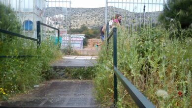 Φίδι στο γήπεδο... - Συμμαζέψτε την κατάσταση 12