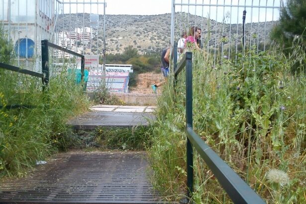 Φίδι στο γήπεδο... - Συμμαζέψτε την κατάσταση 43