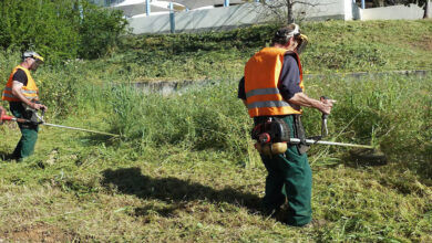 Δήμος Χαϊδαρίου: Καθαρίστε τώρα κήπους και οικόπεδα 16