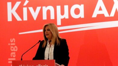 «Καρέ» για το Χαϊδάρι στο κορυφαίο όργανο του Κινήματος Αλλαγής 29