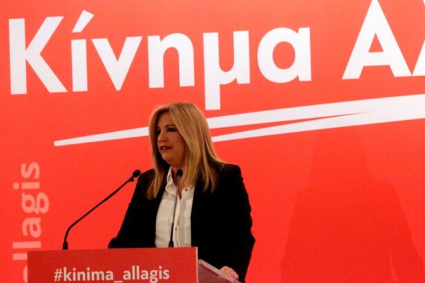 «Καρέ» για το Χαϊδάρι στο κορυφαίο όργανο του Κινήματος Αλλαγής 27