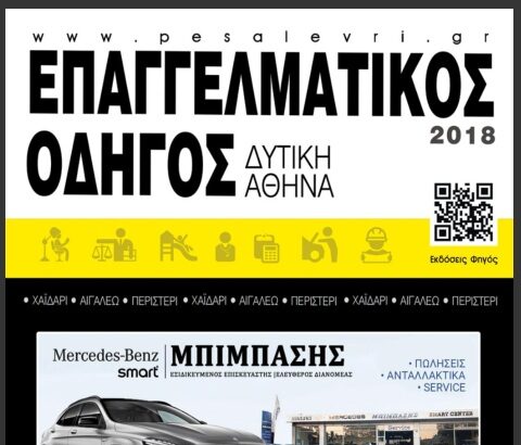 Επαγγελματικός Οδηγός 2018 19