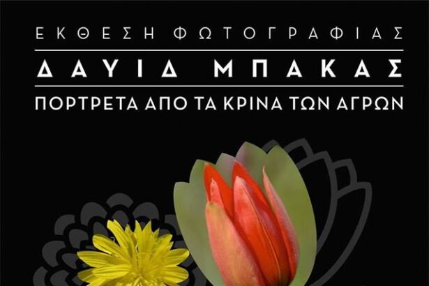 Έκθεση φωτογραφίας στο "Γραμματόσημο" 19