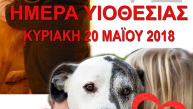 Ημέρα υιοθεσίας για τα αδεσποτάκια του Χαϊδαρίου 11
