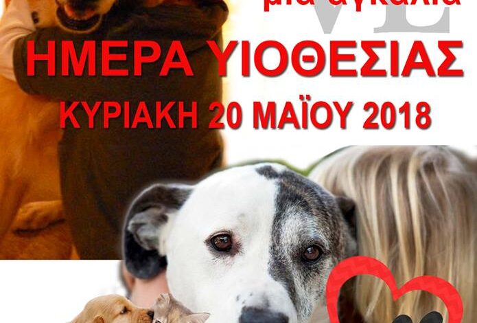 Ημέρα υιοθεσίας για τα αδεσποτάκια του Χαϊδαρίου 2 Ημέρα υιοθεσίας για τα αδεσποτάκια του Χαϊδαρίου 1