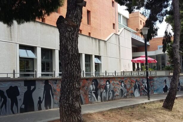 Ζωγραφίζοντας τους τοίχους του Δημαρχείου 37