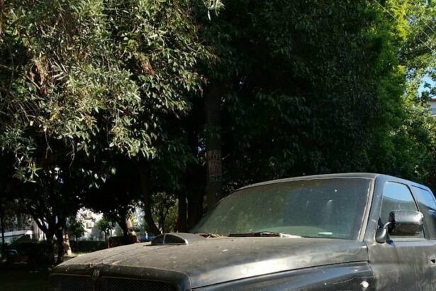 "Ο Δήμος πού είναι, οεο;" 45