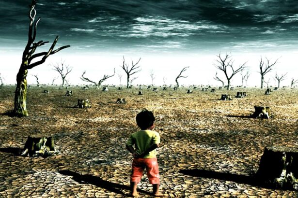 Κλιματική αλλαγή και Πρωτόκολλο του Κιότο 21