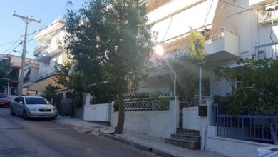 Βασίλης Καρατζαφέρης: Κόβουν και δέντρα χωρίς κλίση 23