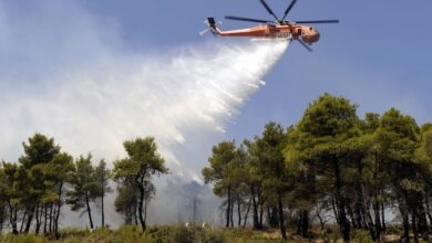 Φωτιά στην Κινέτα - Μεγάλη κινητοποίηση της Πυροσβεστικής 46
