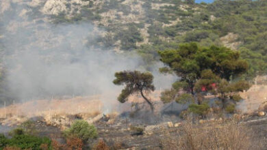 Δήμος Χαϊδαρίου: Κάλεσμα εθελοντικής πυροπροστασίας 6