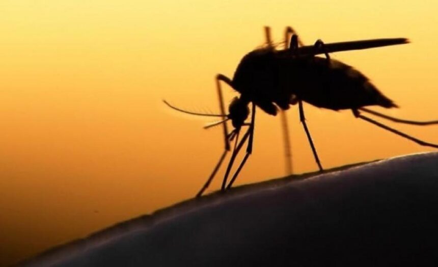 "Μέτρα προφύλαξης για τον ιό του Δυτικού Νείλου χρειάζεται και το Χαϊδάρι" 2 "Μέτρα προφύλαξης για τον ιό του Δυτικού Νείλου χρειάζεται και το Χαϊδάρι" 1