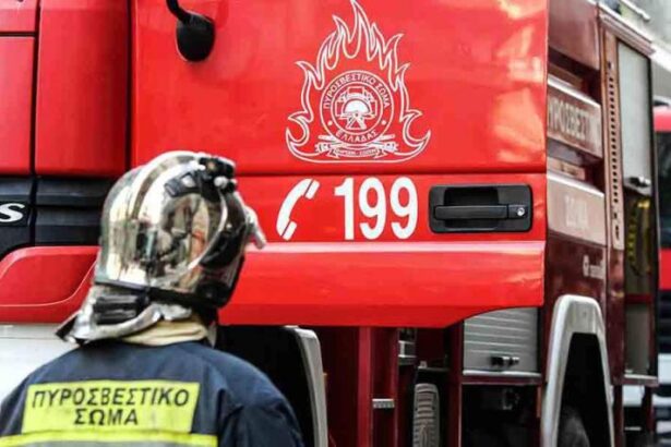 Υψηλός κίνδυνος πυρκαγιάς - Πού λαμβάνονται έκτακτα μέτρα στο Χαϊδάρι 3