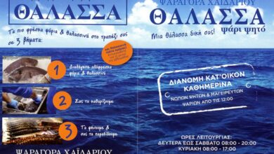 ΘΑΛΑΣΣΑ ΧΑΪΔΑΡΙΟΥ FISH&GRILL - Αυτό είναι το μενού τους 72