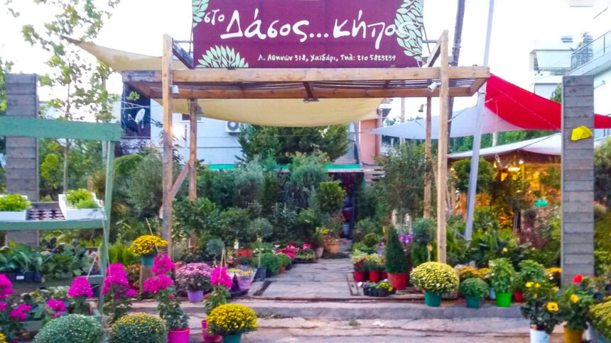 5 κινήσεις ματ στον φθινοπωρινό κήπο μας! 1