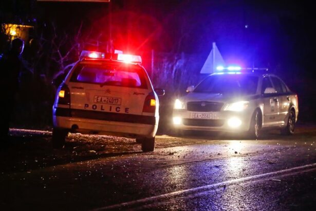 Το "λαβράκι" που έβγαλε ένας απλός τροχονομικός έλεγχος 7
