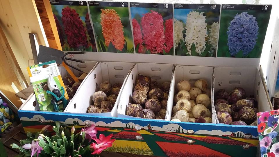 5 κινήσεις ματ στον φθινοπωρινό κήπο μας! 3