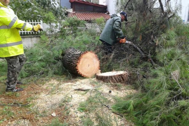 Ακόμα μετράμε απώλειες 39