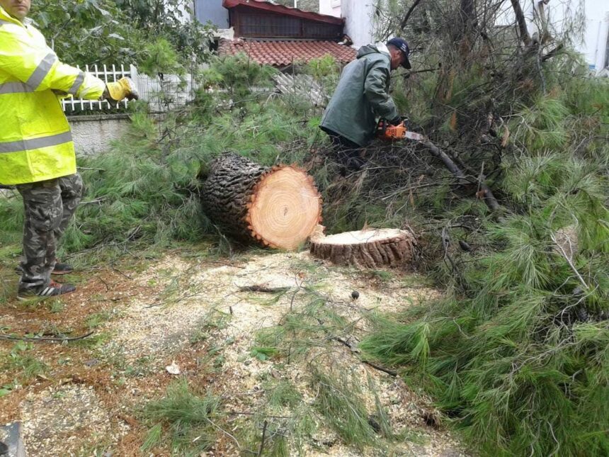Ακόμα μετράμε απώλειες 1