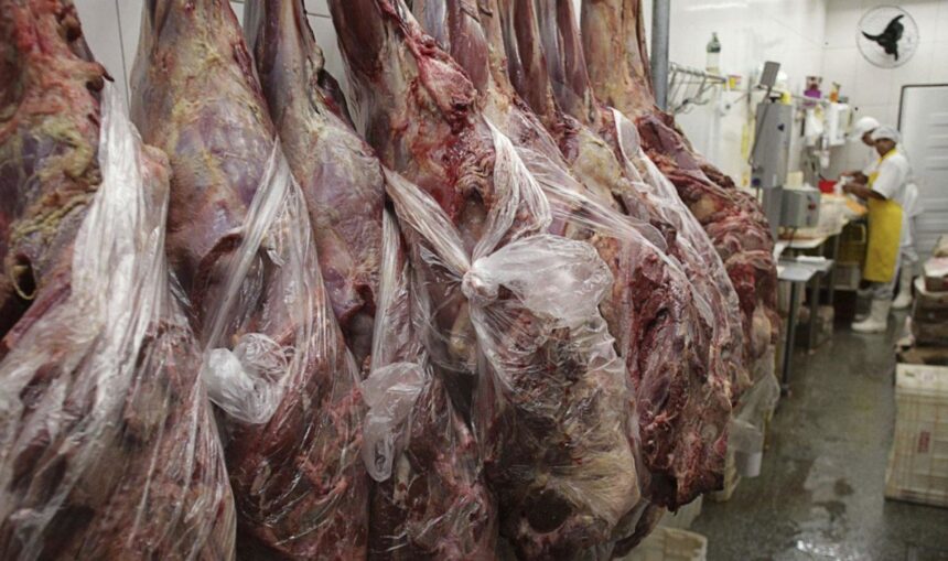 Χαϊδάρι!: Εκατοντάδες κιλά σάπια κρέατα σε κάδους! 1