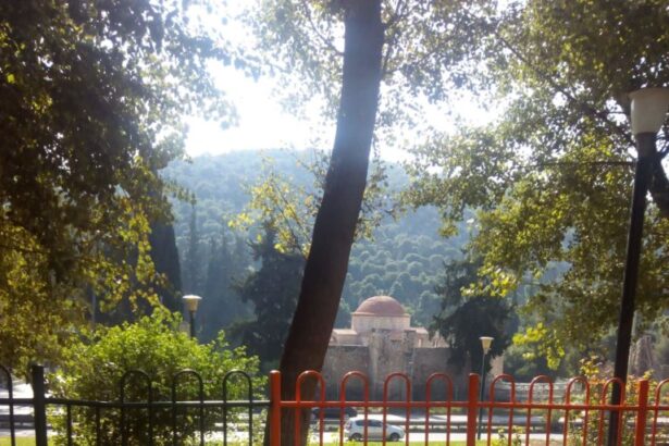 Παιδική χαρά ή παιδική παγίδα; 3