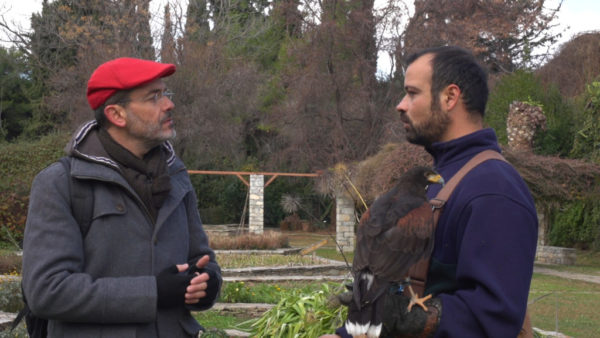 "Καταγγέλλω σόου με άγρια πτηνά στον Διομήδειο Κήπο" 4 "Καταγγέλλω σόου με άγρια πτηνά στον Διομήδειο Κήπο" 3