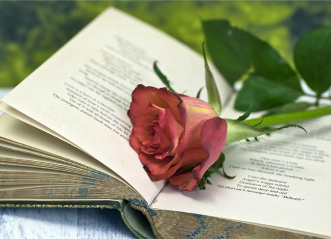 Ποιητική βραδιά στον Πολιτιστικό Σύλλογο Δαφνίου 2 Ποιητική βραδιά στον Πολιτιστικό Σύλλογο Δαφνίου 1