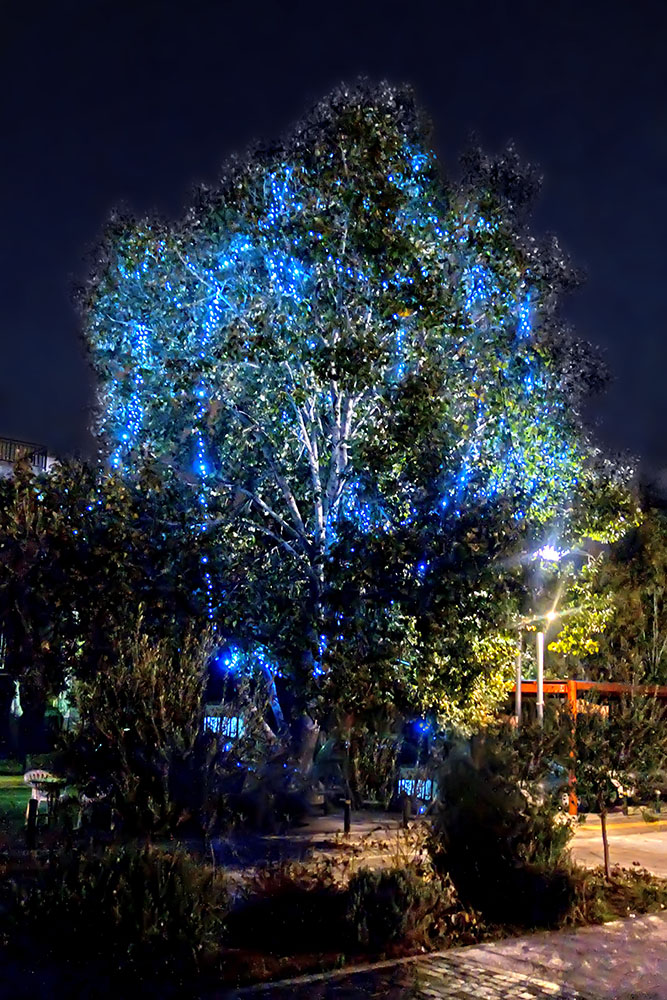 Άναψε το Χριστουγεννιάτικο Δέντρο στο Χαϊδάρι - Οι χριστουγεννιάτικες εκδηλώσεις 1