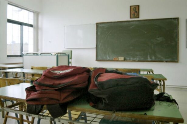 Κοτανίδου: Προαιρετική προσέλευση στα Λύκεια - Η πρόταση για τα Δημοτικά σχολεία 39