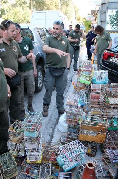 Χέρια παιδιών απελευθερώνουν τις "σκλαβωμένες ψυχές" 1