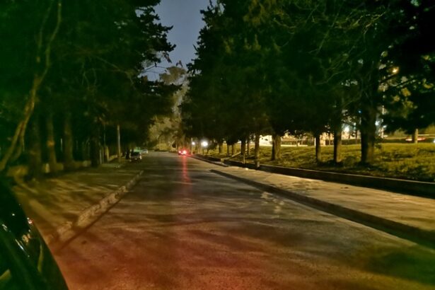 "Μάντρα" κλεμμένων οχημάτων στο Δαφνί 33