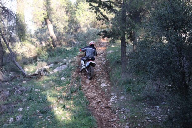 "Μηχανές καταστρέφουν το δάσος κάτω από τη Γιορτή" 9