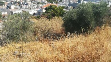 Μια μικρή εστία έδειξε πόσο απροετοίμαστοι είμαστε για φωτιά 14