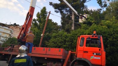 Πτώση πεύκου σε καλώδια - Ώρες χωρίς ρεύμα το Άνω Δάσος 7
