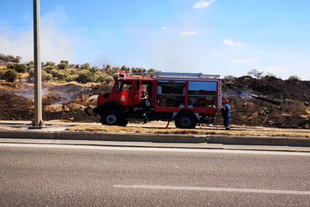 Διπλό μέτωπο φωτιάς στον Ασπρόπυργο 41