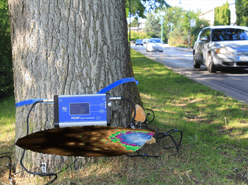 Η σύγχρονη τεχνολογία μπορεί να δώσει λύση στις συνεχείς πτώσεις πεύκων 2 Η σύγχρονη τεχνολογία μπορεί να δώσει λύση στις συνεχείς πτώσεις πεύκων 1