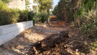 Διανοίγεται η οδός Αρεοπόλεως, μετά από 65 χρόνια! - Σημαντική παρέμβαση για το Δάσος 29
