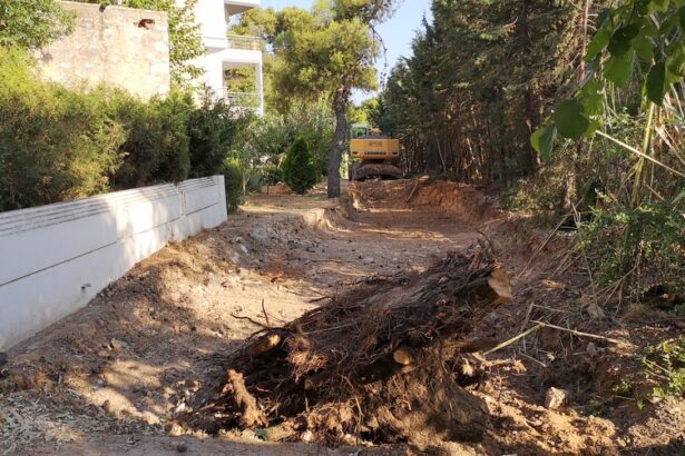 Διανοίγεται η οδός Αρεοπόλεως, μετά από 65 χρόνια! - Σημαντική παρέμβαση για το Δάσος 23