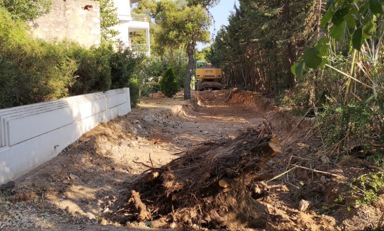 Διανοίγεται η οδός Αρεοπόλεως, μετά από 65 χρόνια! - Σημαντική παρέμβαση για το Δάσος 2 Διανοίγεται η οδός Αρεοπόλεως, μετά από 65 χρόνια! - Σημαντική παρέμβαση για το Δάσος 1