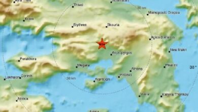 Μνήμες 1999, με ρωγμές σε Δάσος - ΨΝΑ 31