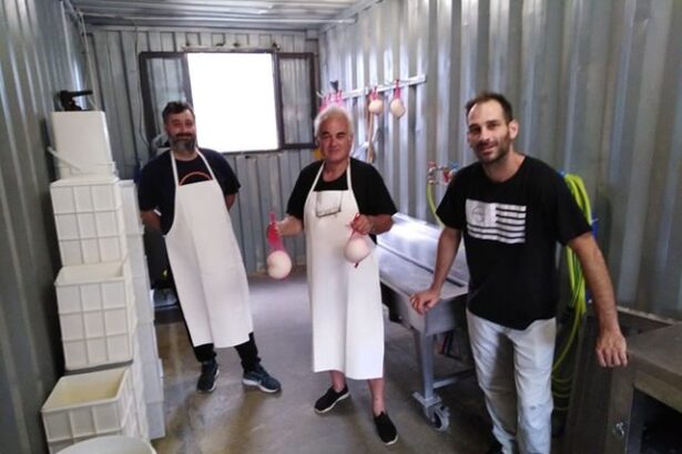 Οικογένεια Βραχλιώτη: Το παραγωγικό success story συνεχίζεται και… επεκτείνεται! 7