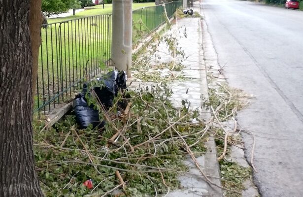 Άλλο και τούτο πάλι... 15